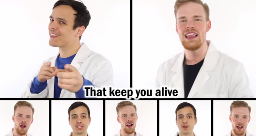 Two Boys Turn A Taylor Swift Hit Into A Hilarious Science Song